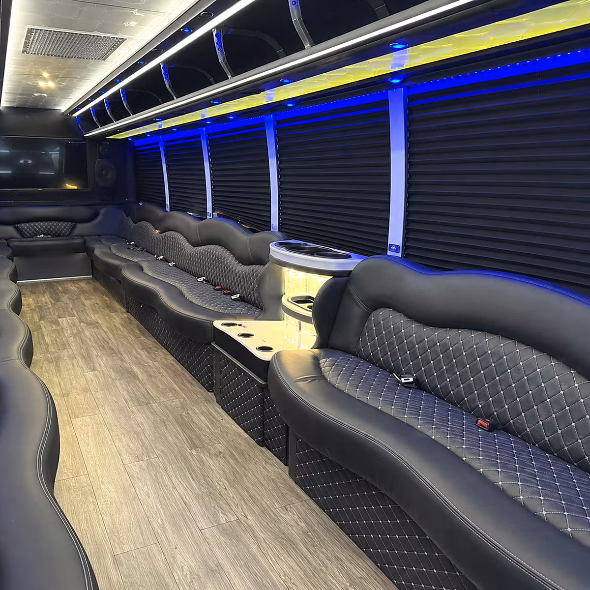 ann arbor night on town party bus rental