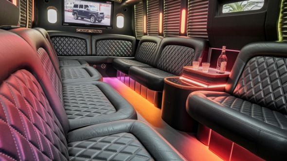 ann arbor sprinter limo rental interior