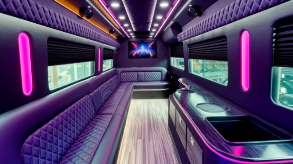 ann arbor sprinter limo rental rental